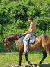 Attese, speranze e sogni: Antonio Mula e i cavalli della scuderia di Brio